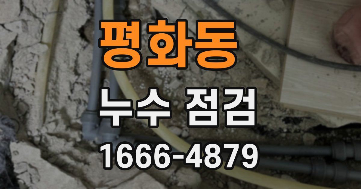 평화동 누수 점검
