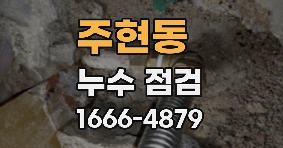 주현동 누수 점검