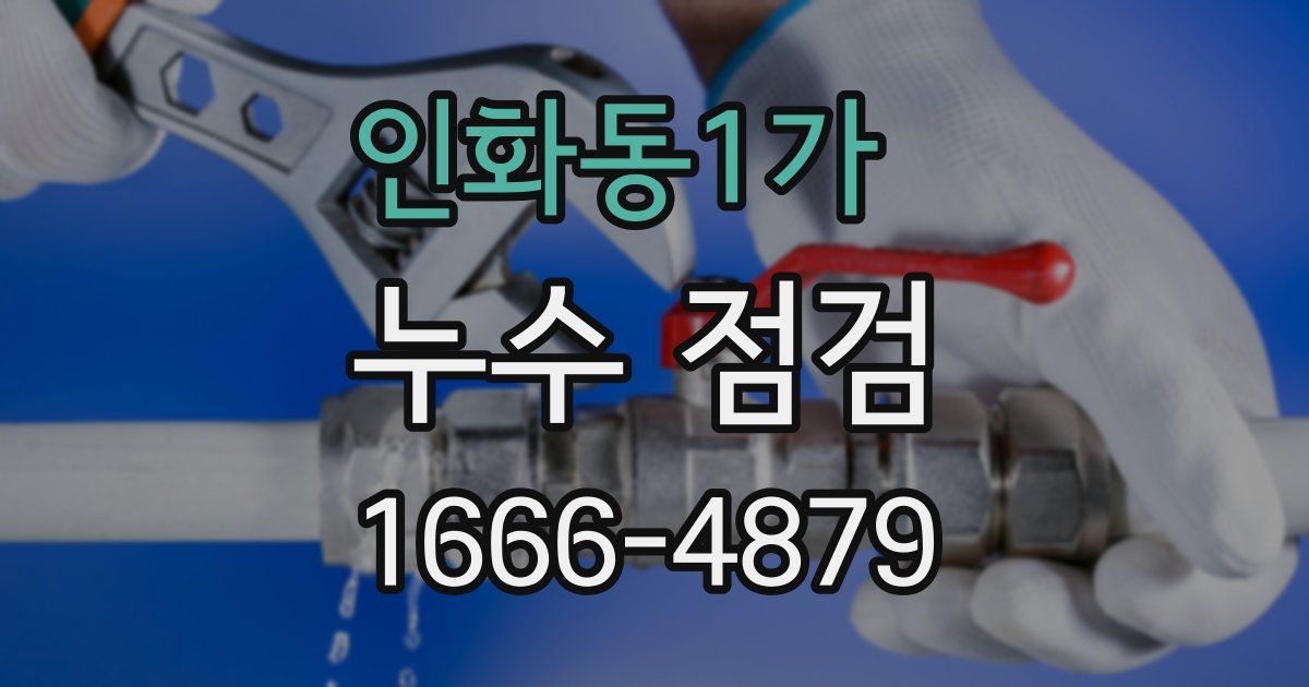 인화동1가 누수 점검