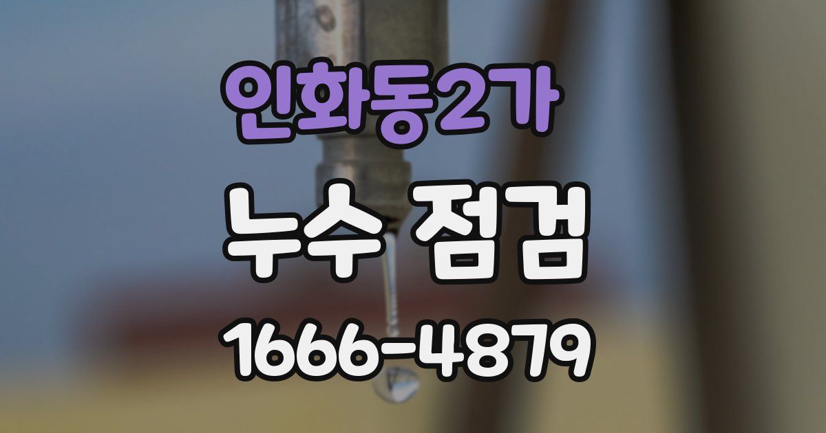 인화동2가 누수 점검