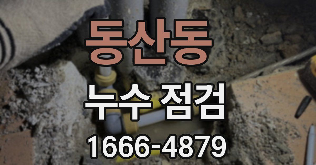 동산동 누수 점검