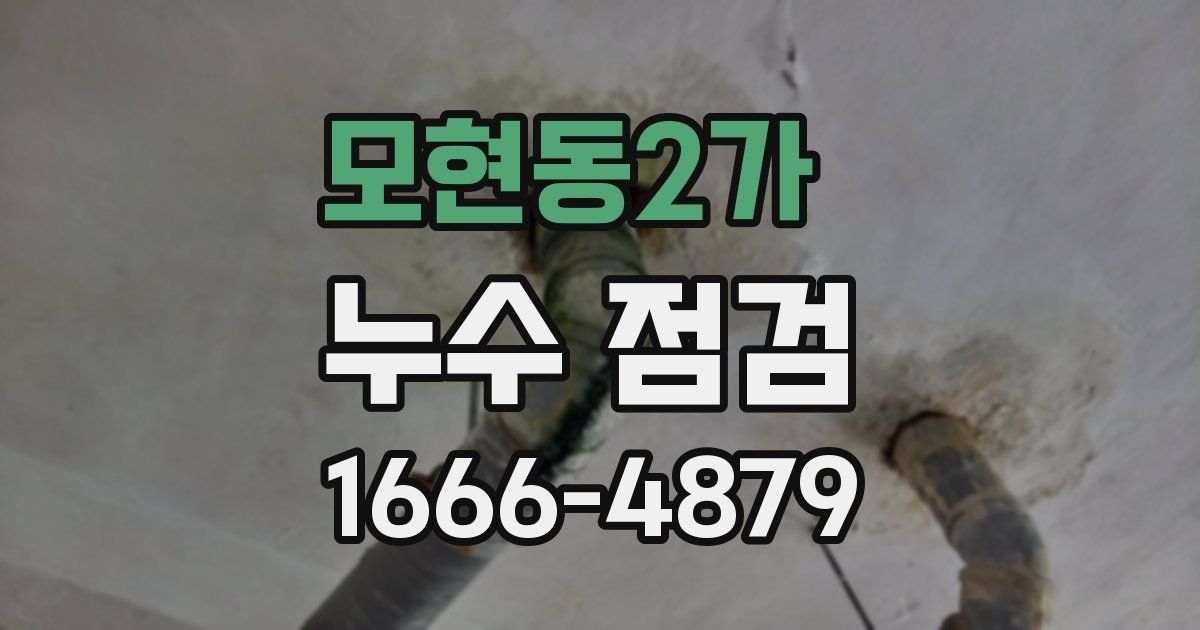 모현동2가 누수 점검