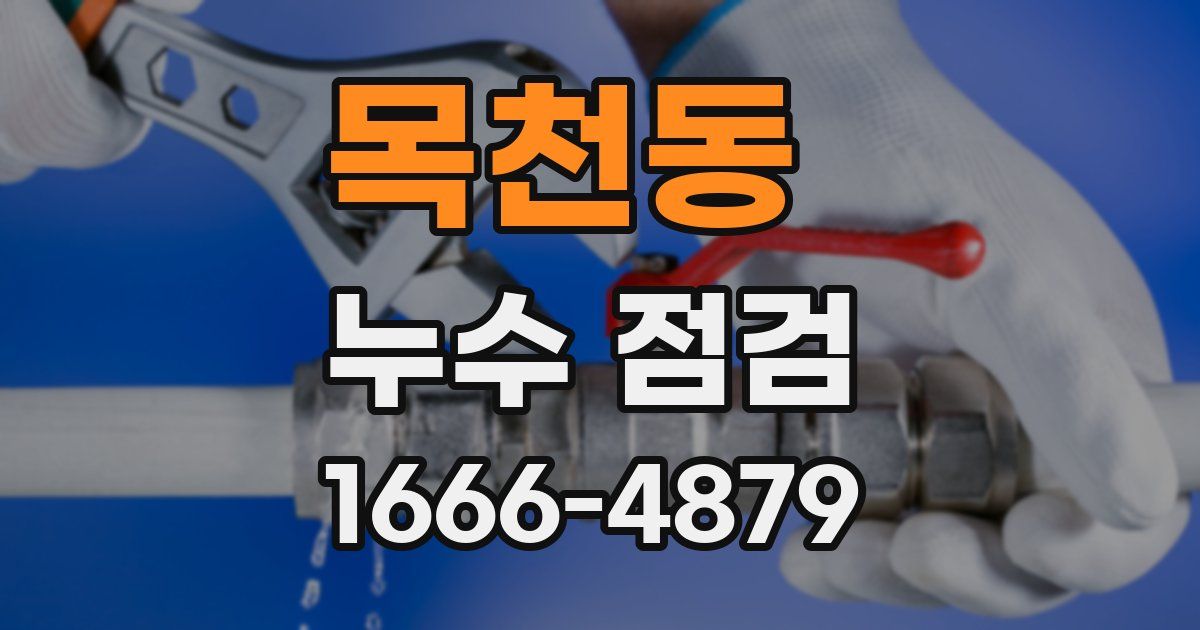 목천동 누수 점검