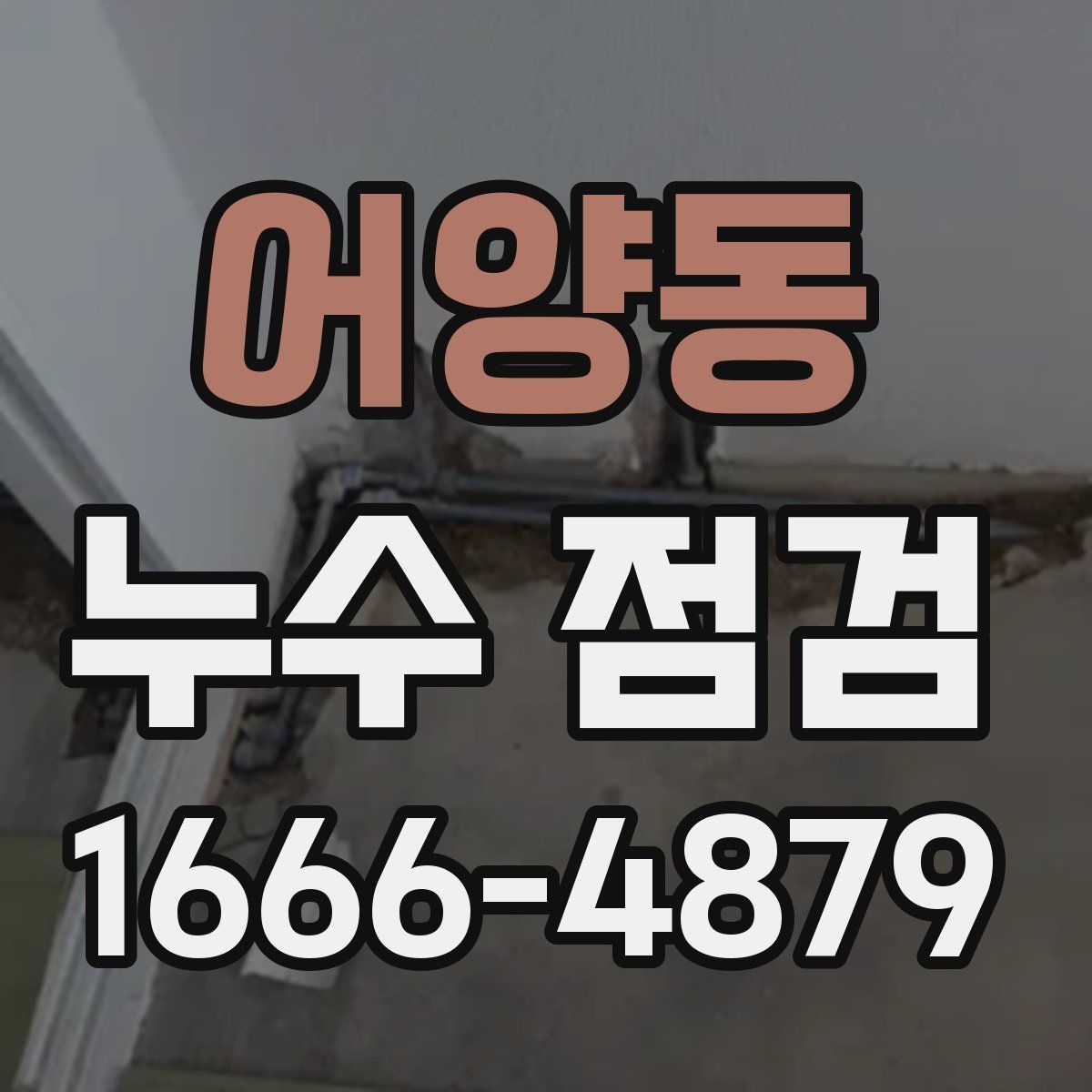 어양동 누수 점검