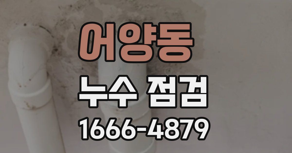 어양동 누수 점검