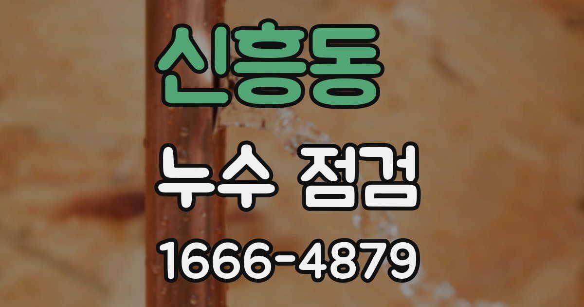 신흥동 누수 점검
