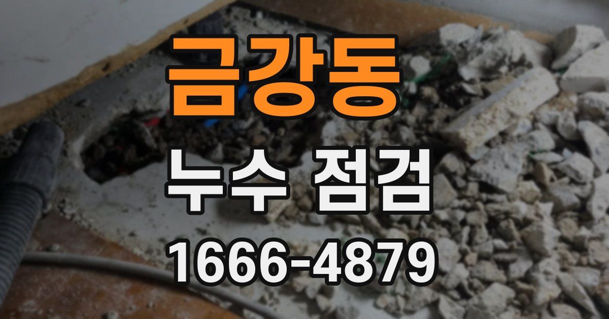 금강동 누수 점검