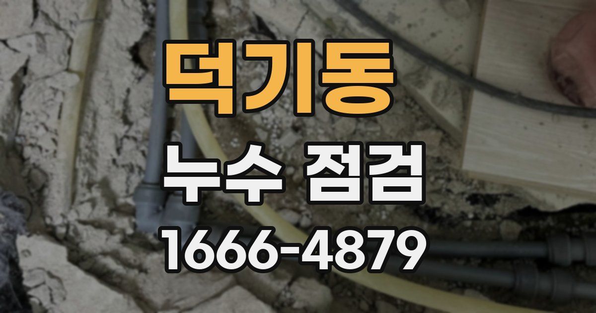 덕기동 누수 점검