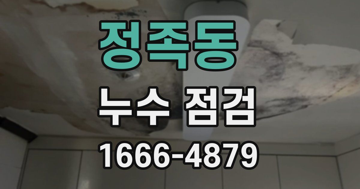 정족동 누수 점검