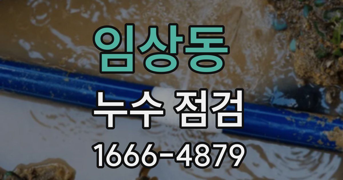 임상동 누수 점검