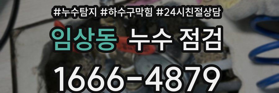 임상동 누수 점검