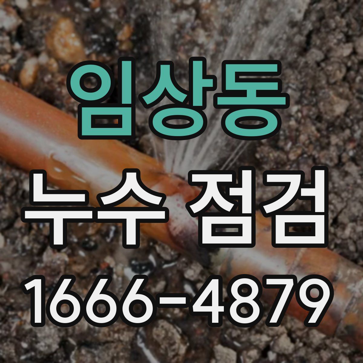 임상동 누수 점검