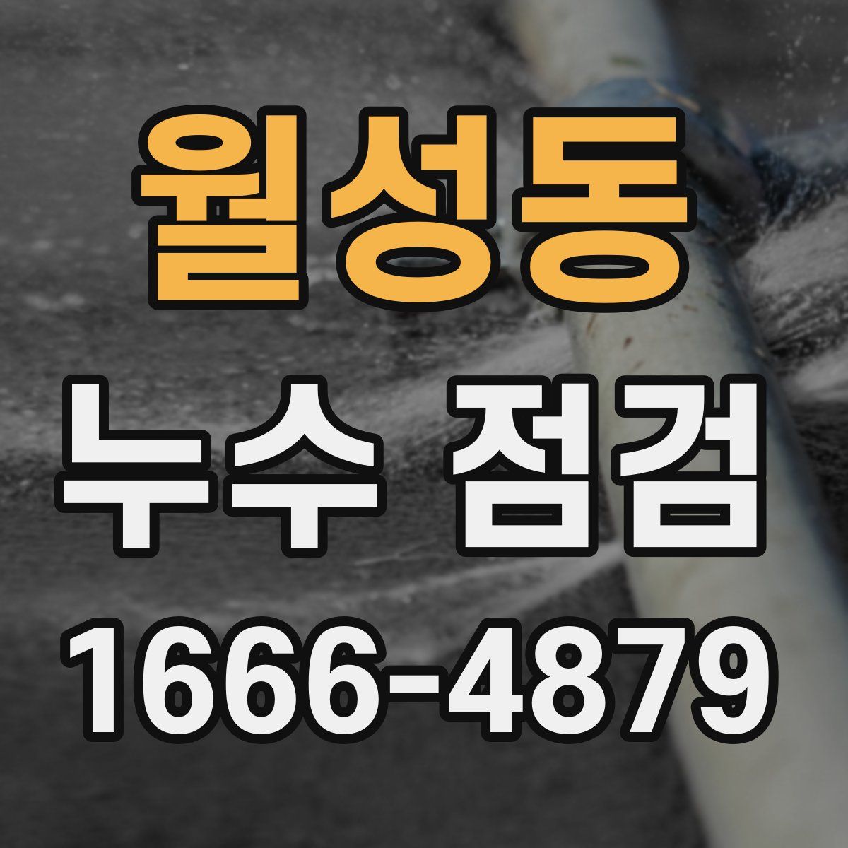 월성동 누수 점검