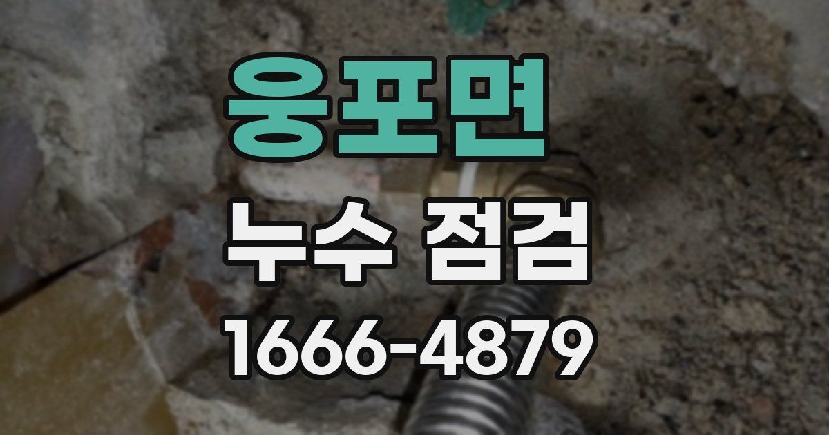 웅포면 누수 점검