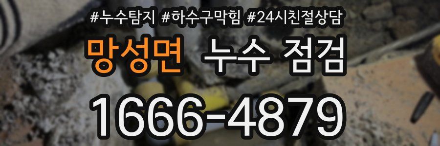 망성면 누수 점검