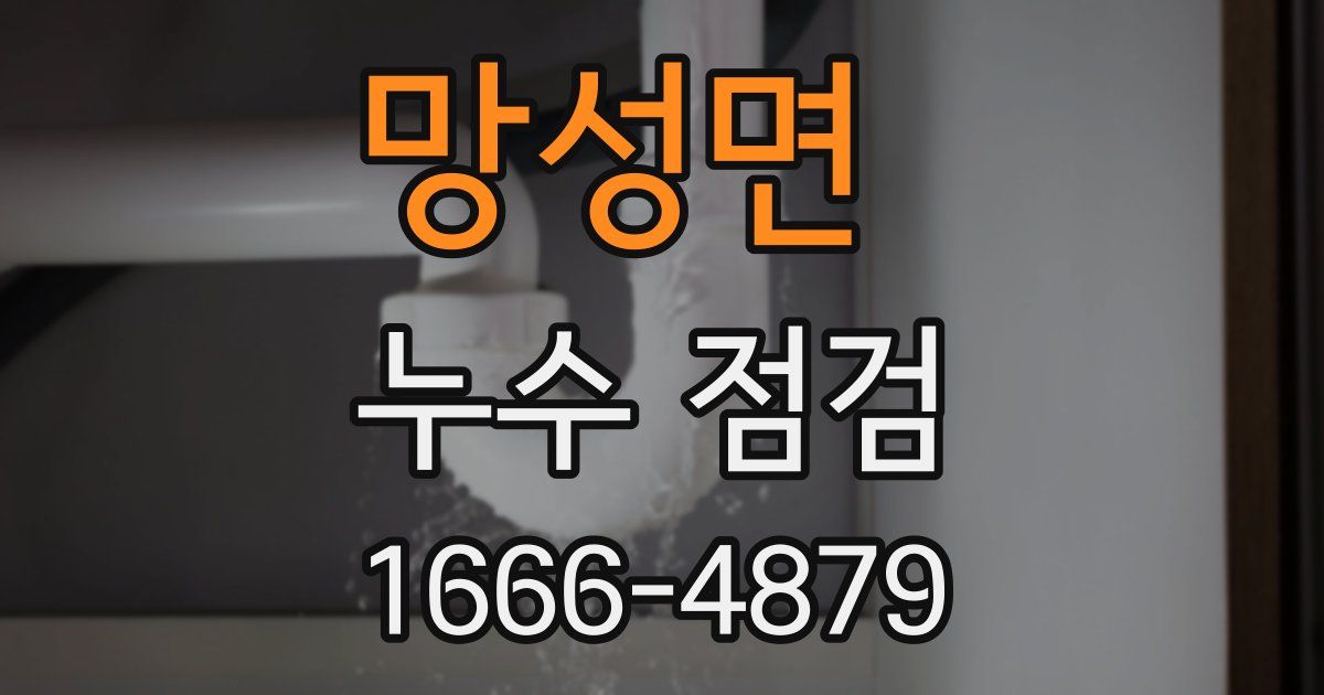 망성면 누수 점검