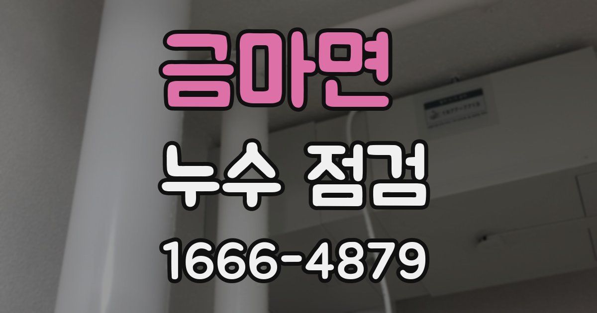 금마면 누수 점검