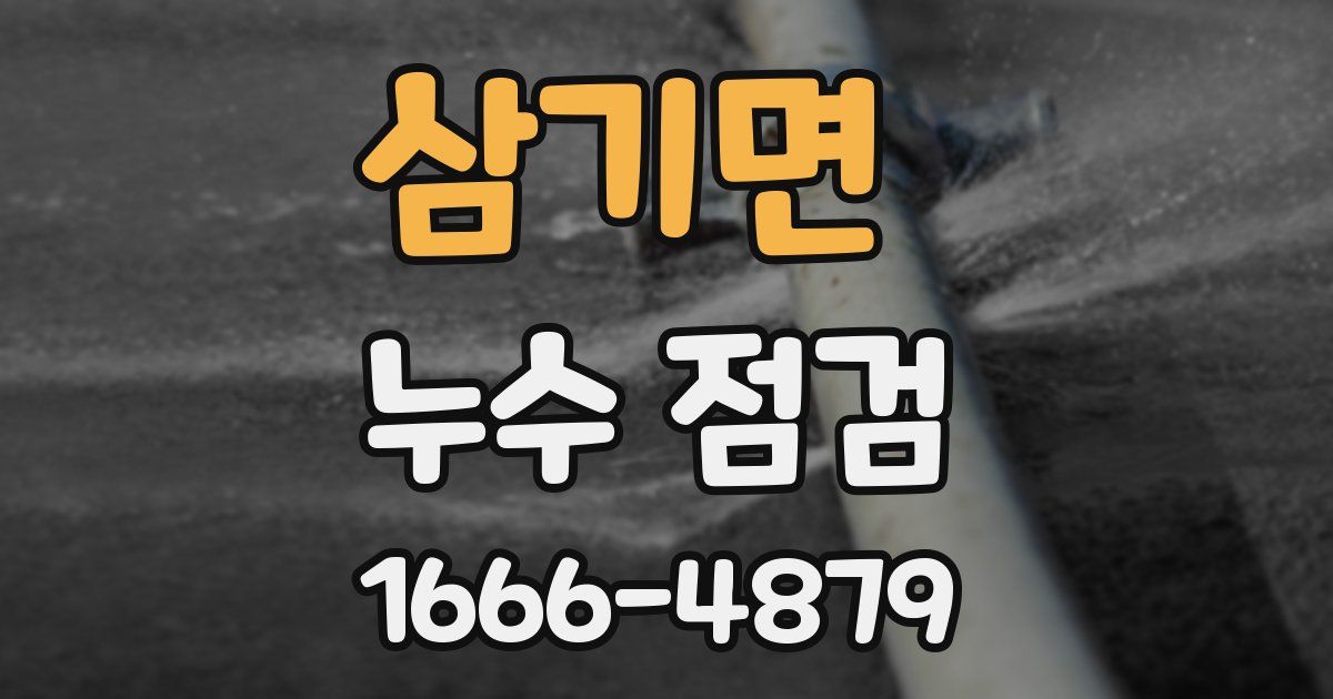 삼기면 누수 점검