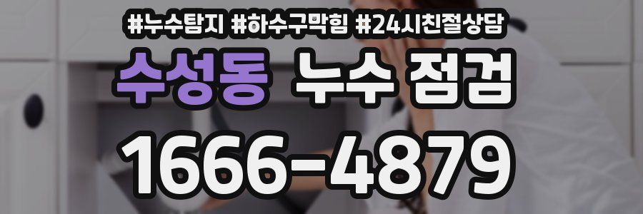 수성동 누수 점검