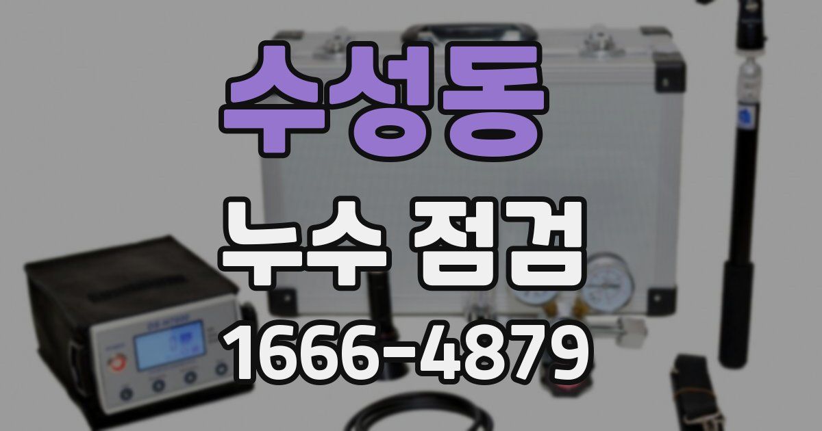 수성동 누수 점검