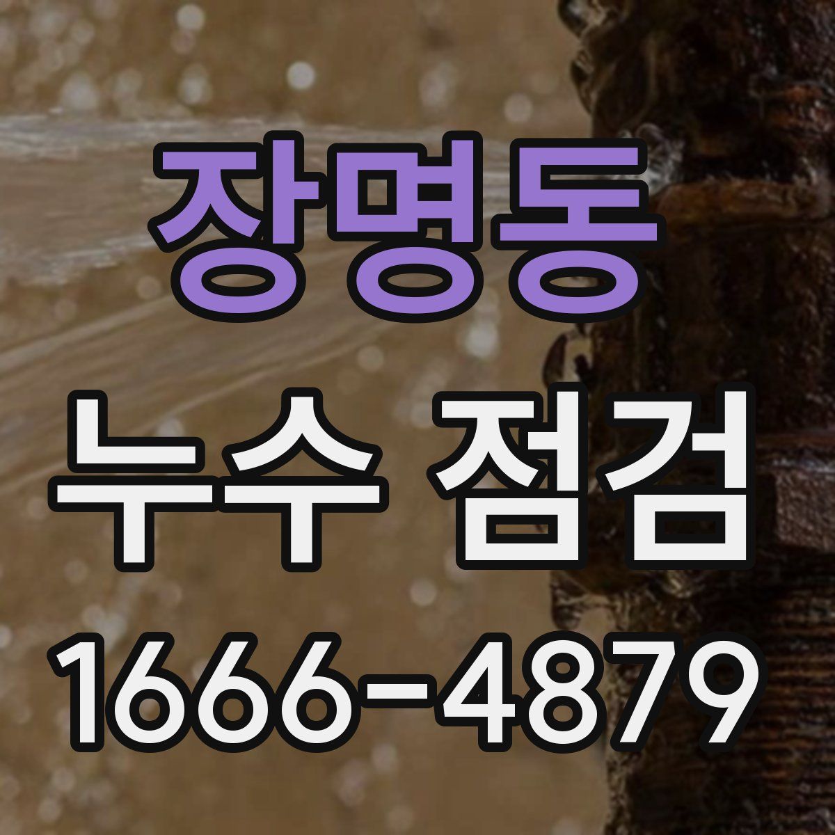 장명동 누수 점검