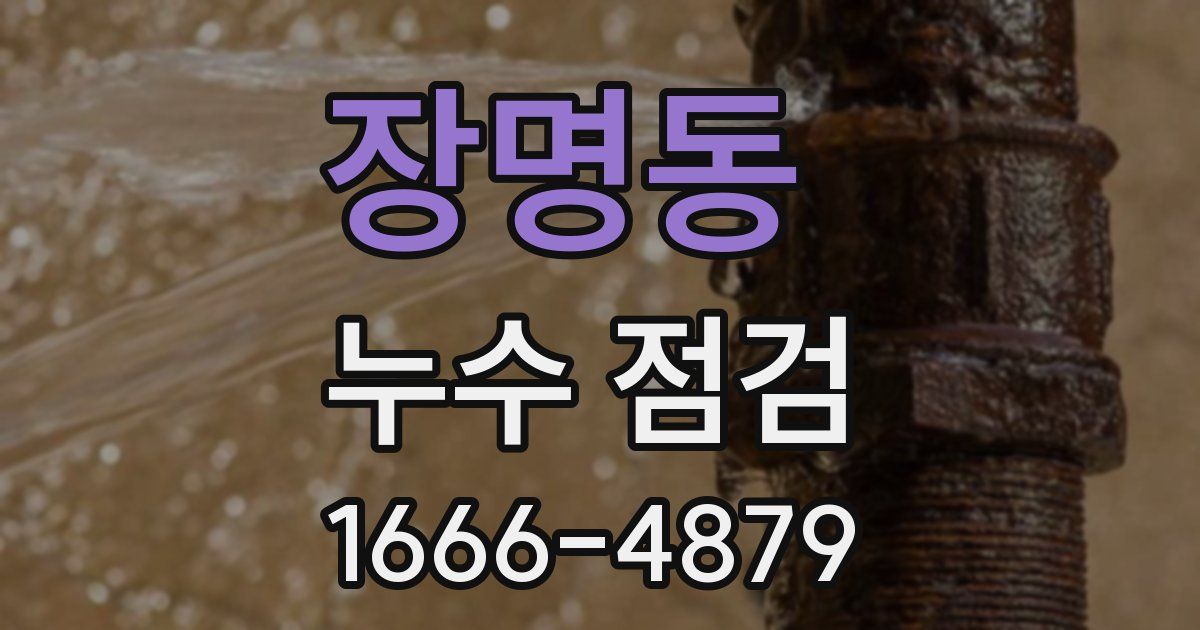 장명동 누수 점검