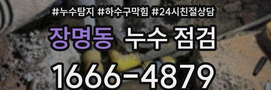장명동 누수 점검