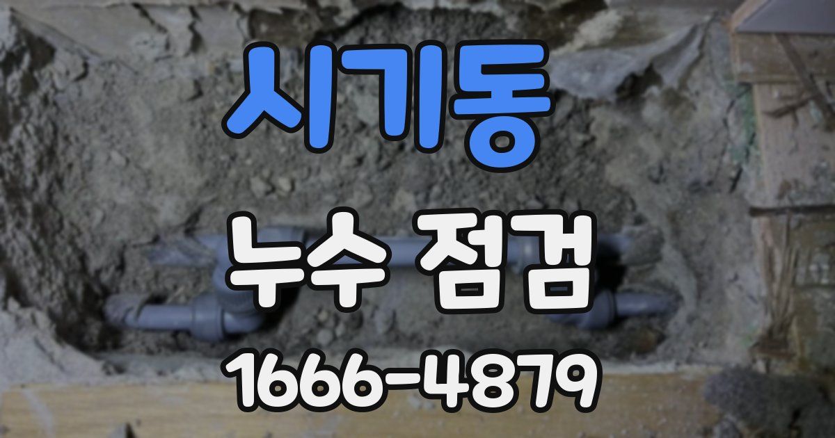 시기동 누수 점검