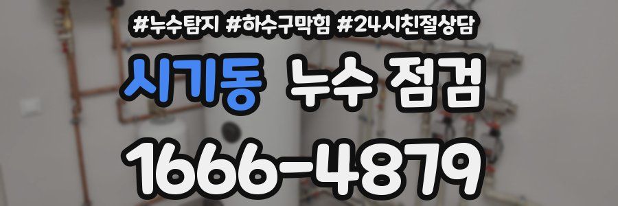 시기동 누수 점검