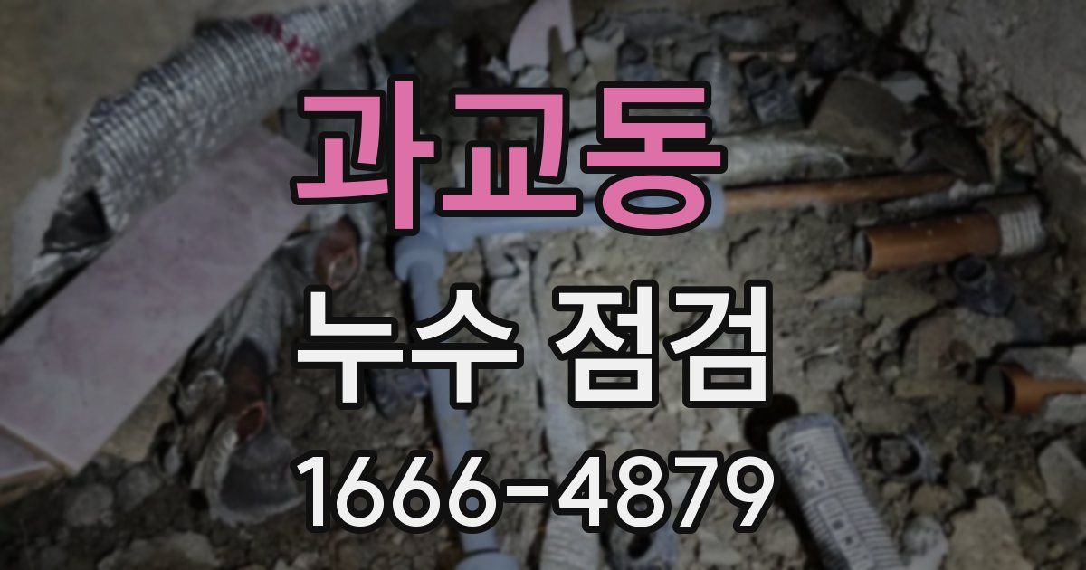 과교동 누수 점검