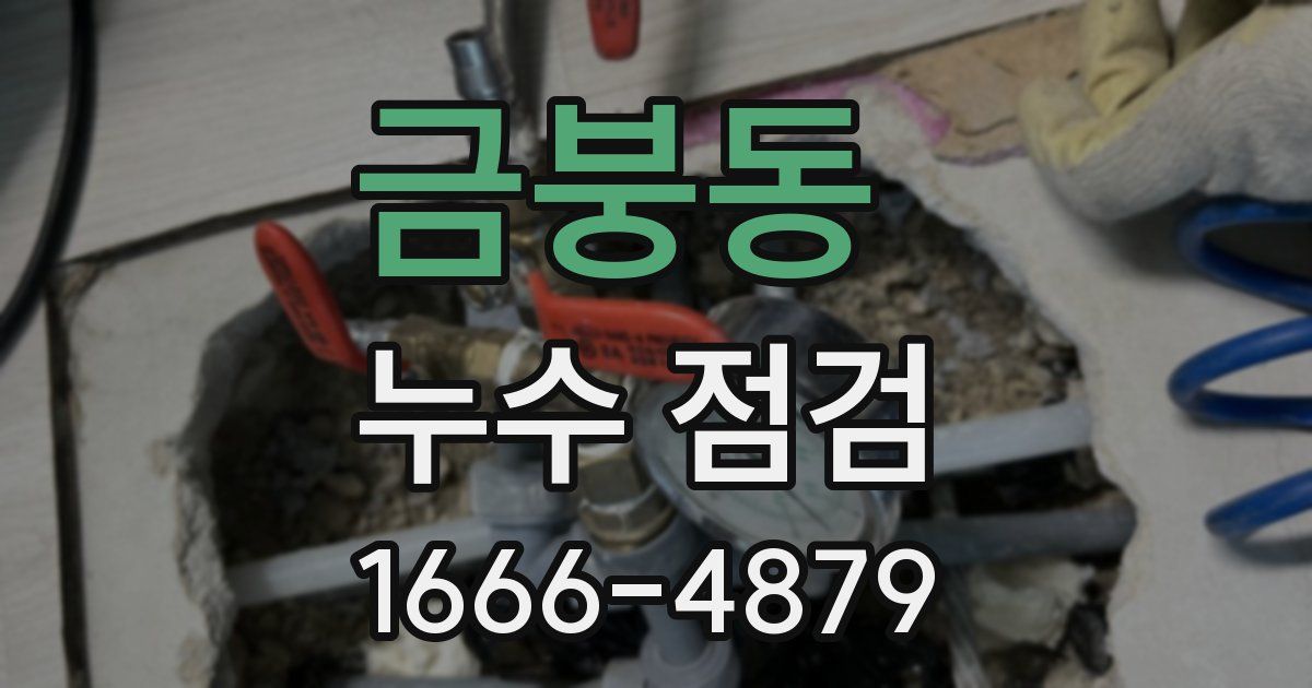 금붕동 누수 점검