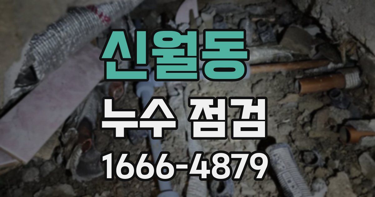 신월동 누수 점검
