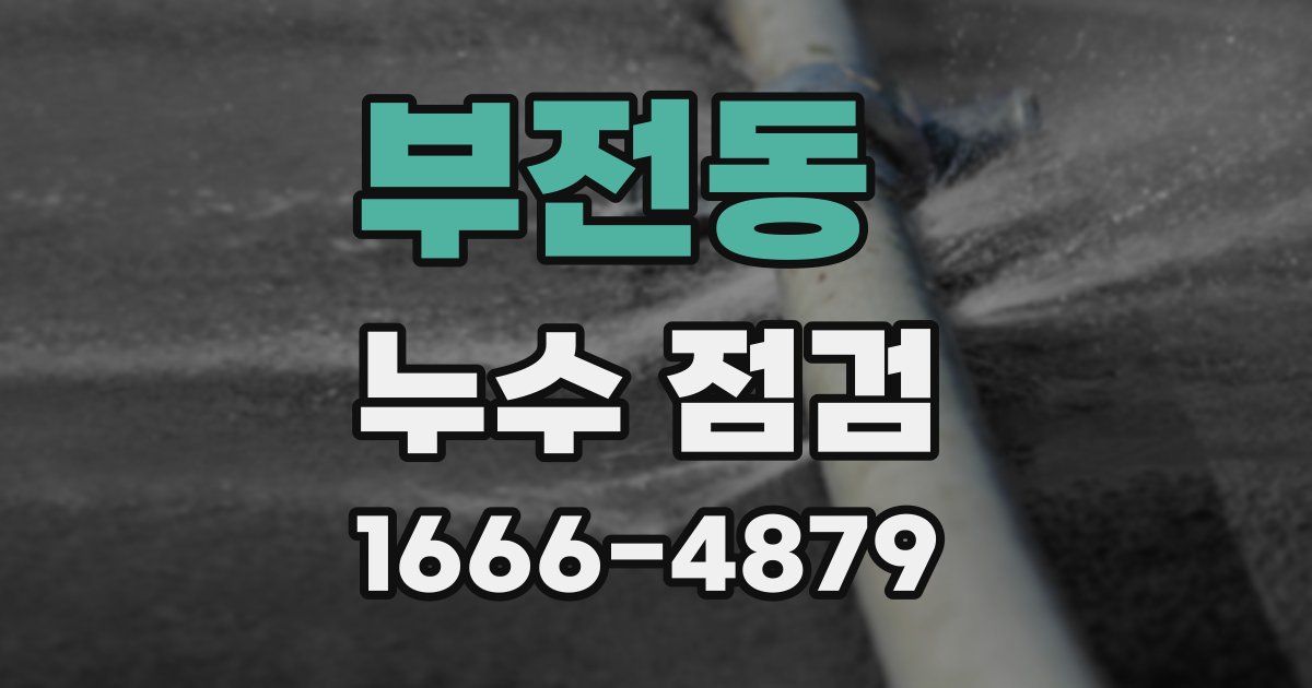 부전동 누수 점검