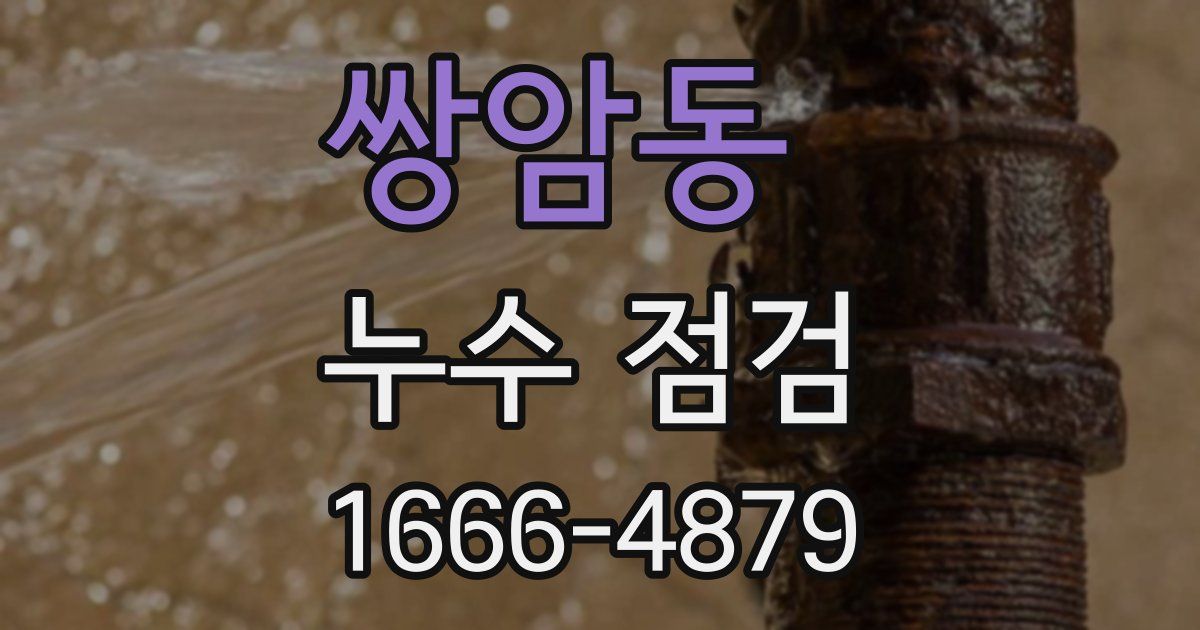 쌍암동 누수 점검