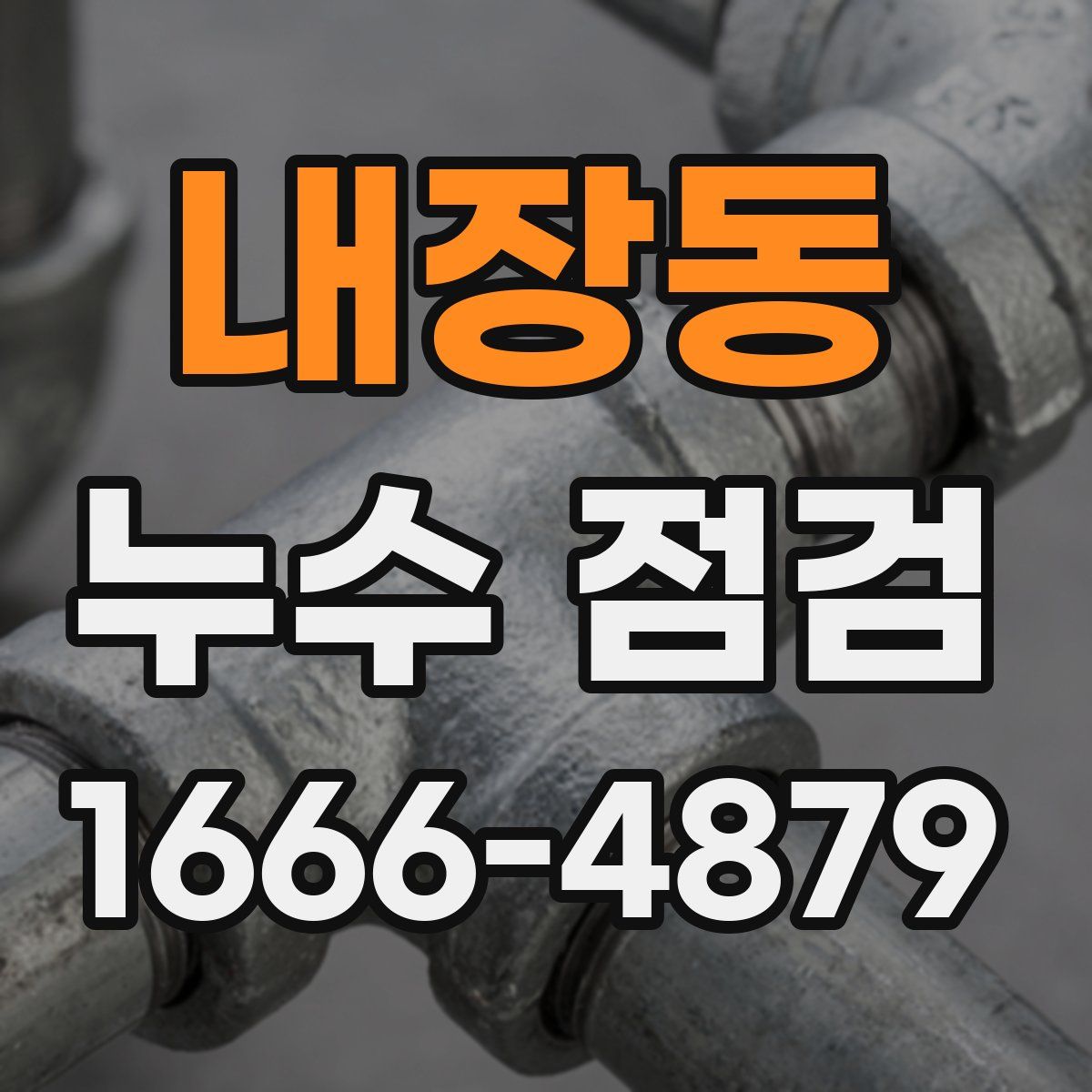 내장동 누수 점검