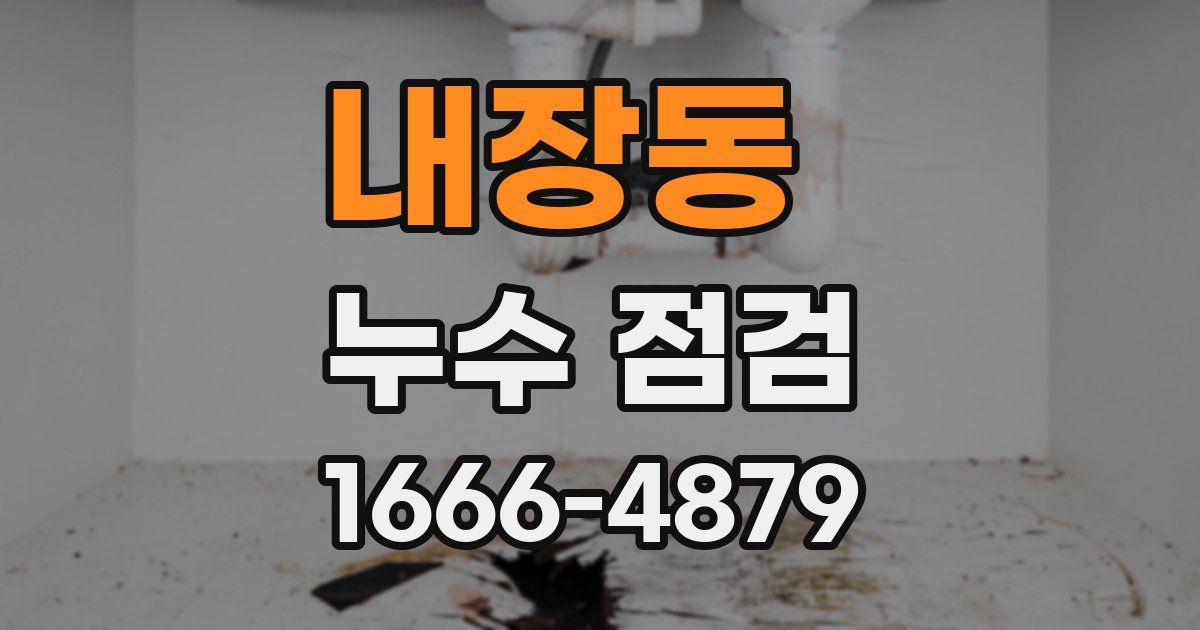 내장동 누수 점검
