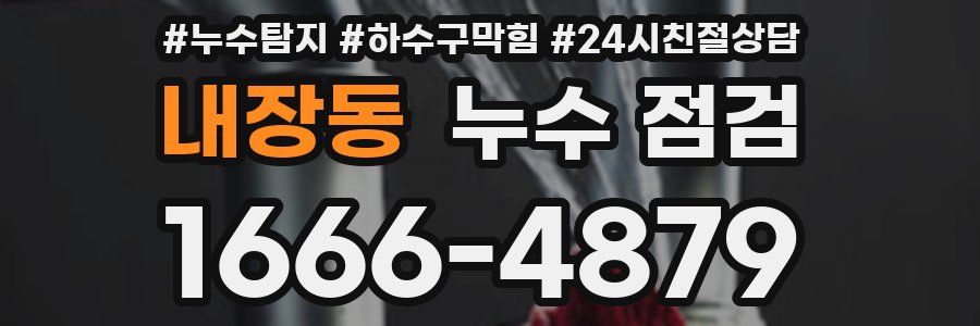 내장동 누수 점검