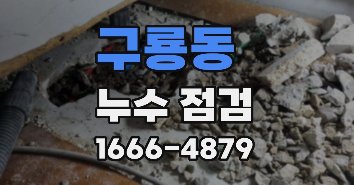 구룡동 누수 점검
