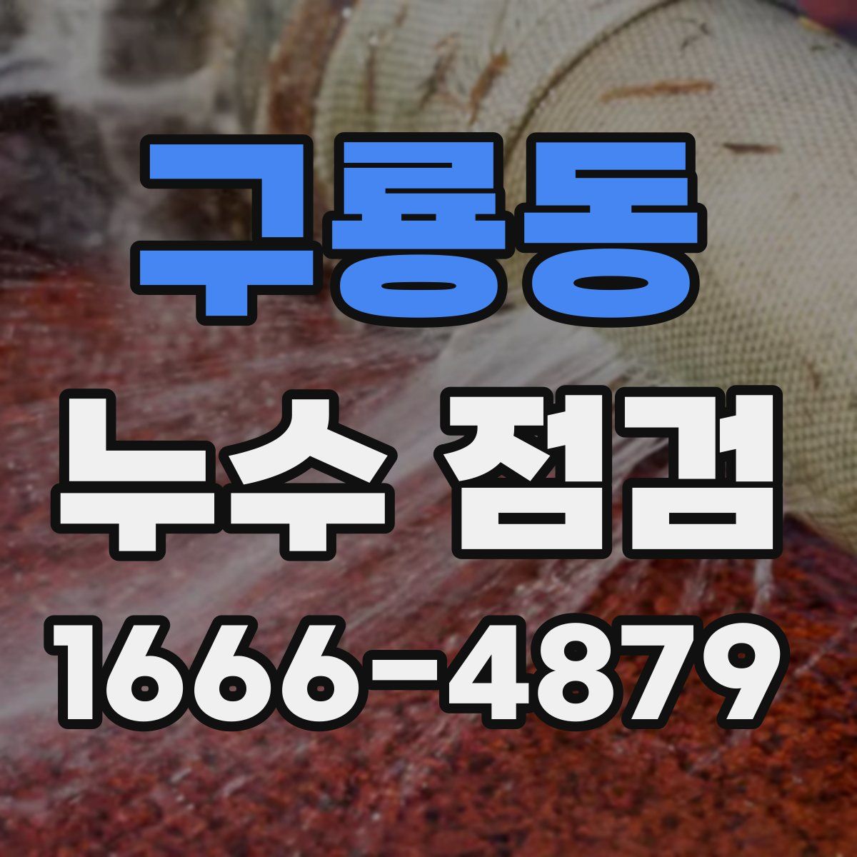 구룡동 누수 점검