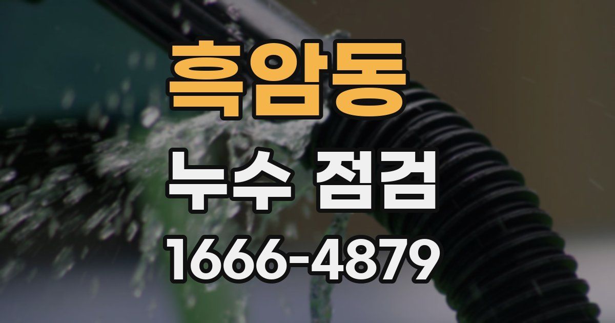 흑암동 누수 점검