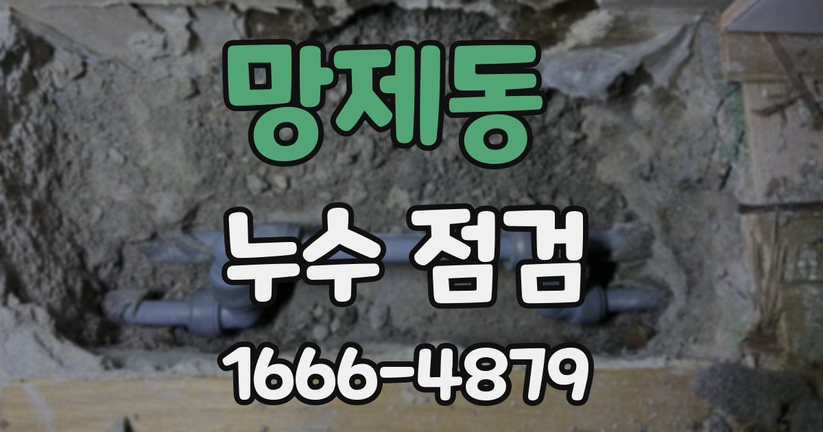 망제동 누수 점검