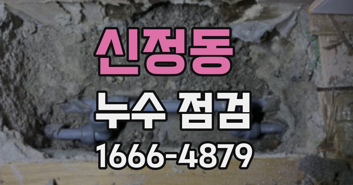 신정동 누수 점검