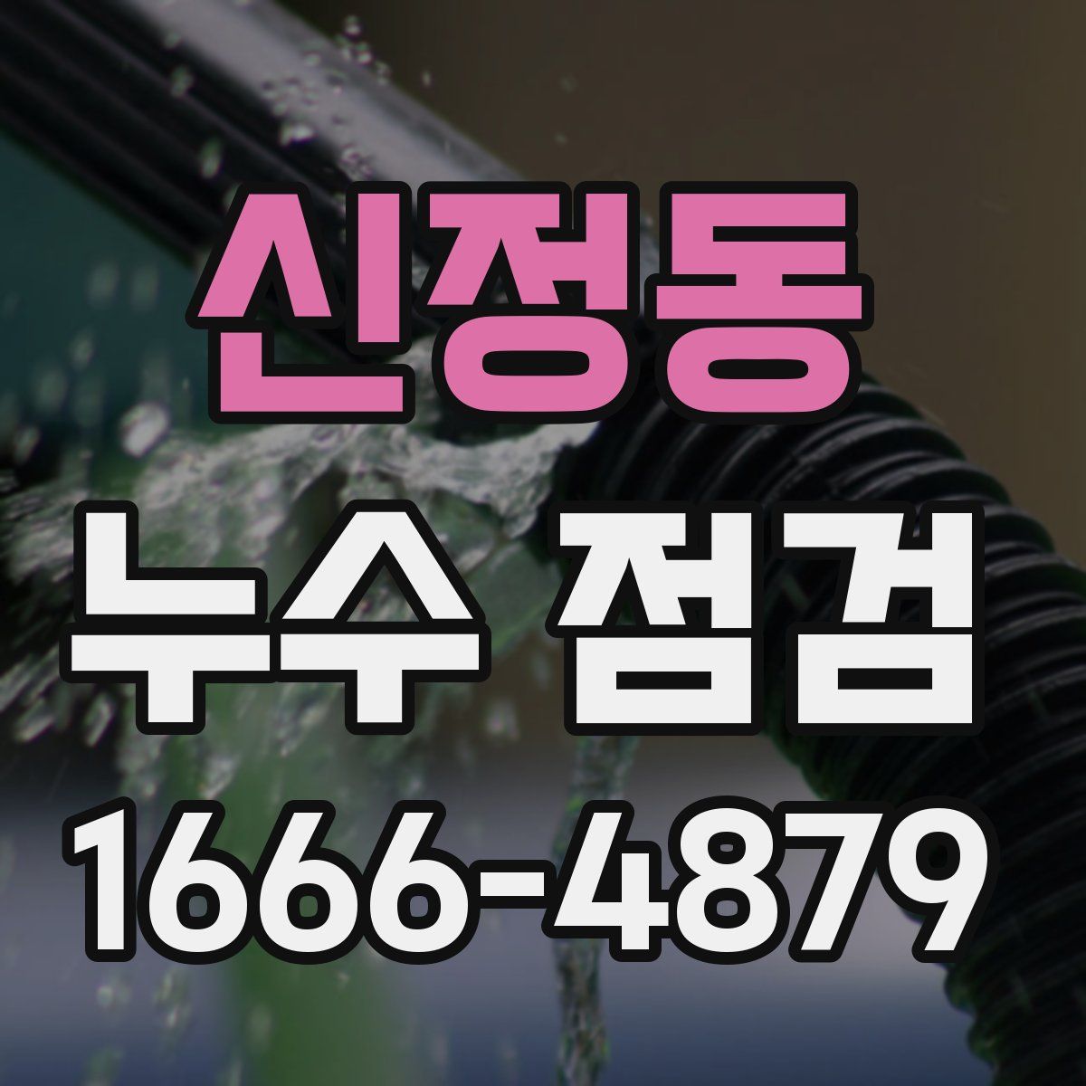 신정동 누수 점검