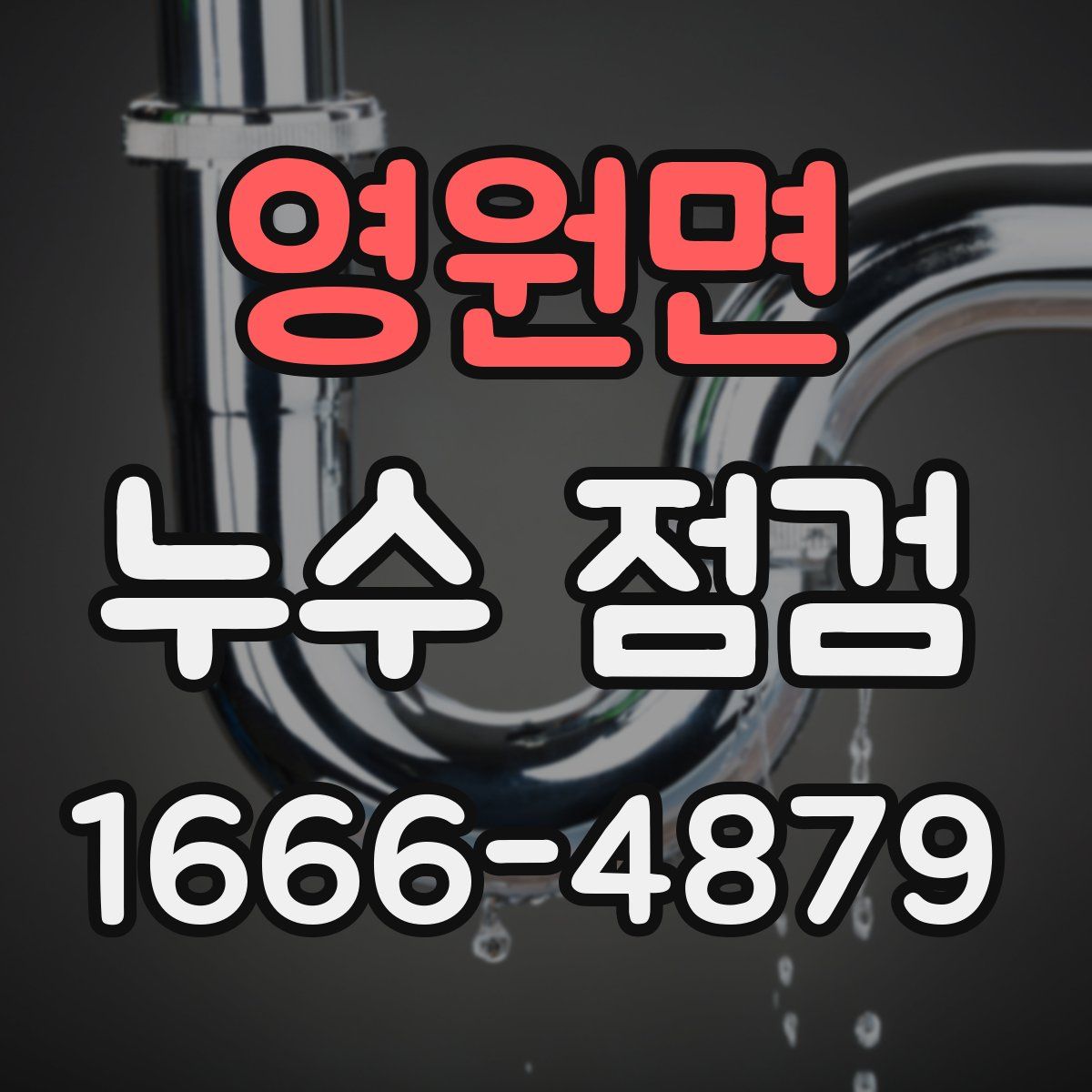 영원면 누수 점검