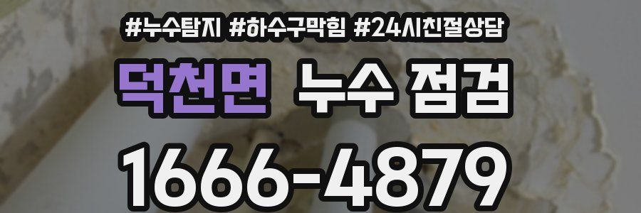 덕천면 누수 점검