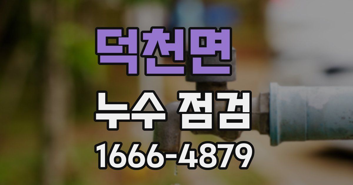덕천면 누수 점검