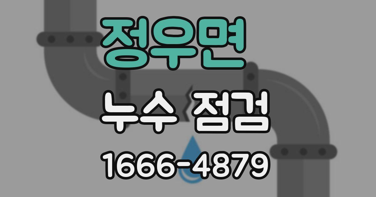 정우면 누수 점검