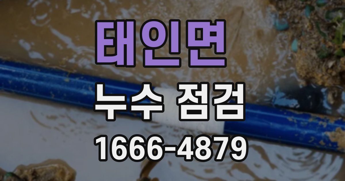 태인면 누수 점검