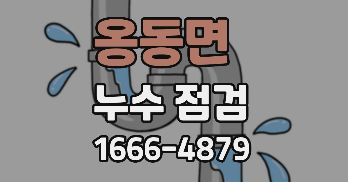 옹동면 누수 점검