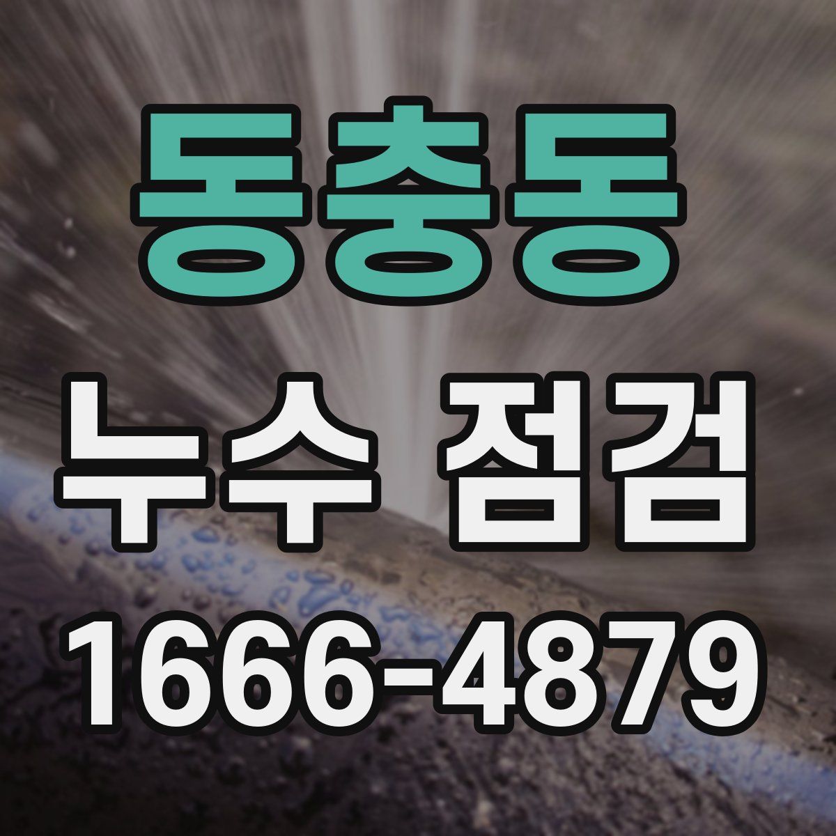 동충동 누수 점검